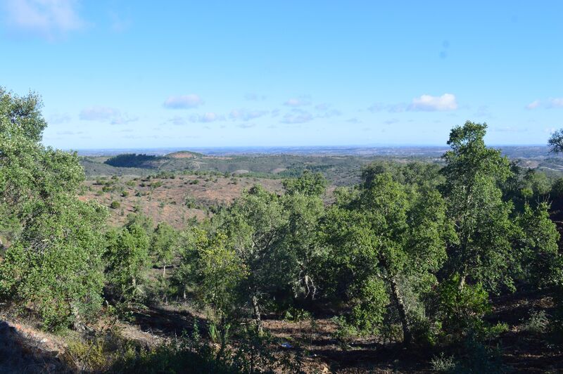 Terreno Urbano com 846325m2 Almodôvar - sobreiros, painéis solares, electricidade, oliveiras, água