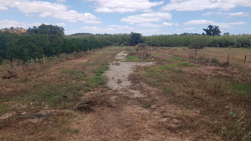 Land Rustic with 1380sqm Tavira - water, electricity