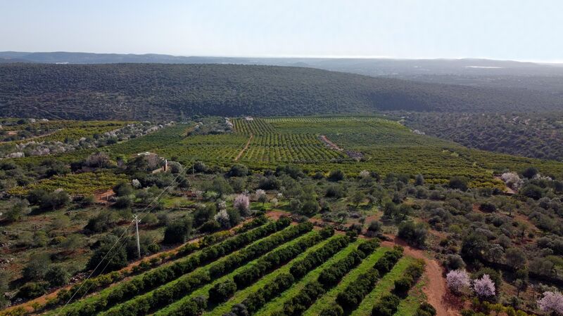 Farm 0 bedrooms Alte Loulé - water hole, water, swimming pool