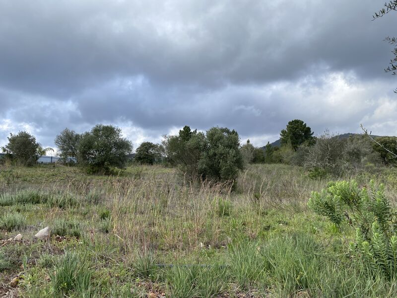 Lote de terreno Urbano com 8600m2 Salir Loulé - água, electricidade