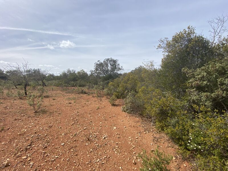 Plot Rustic with 10000sqm Querença Loulé - electricity, water, mains water, good access
