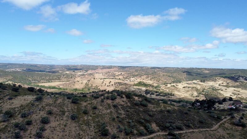 Homestead V0 Ameixial Loulé - cork oaks, water, water hole