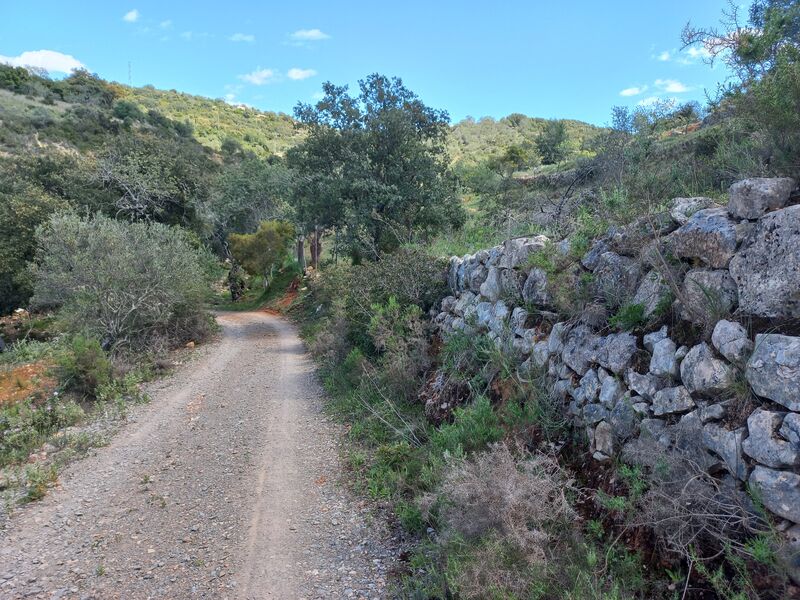 Land Rustic with 11116sqm Estói Faro - electricity, water