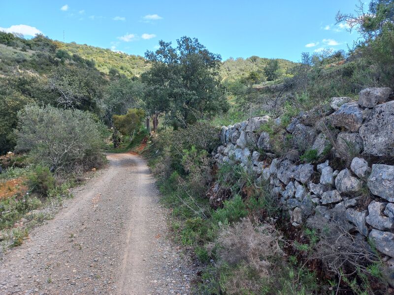 Land with 11116sqm Estói Faro - ,