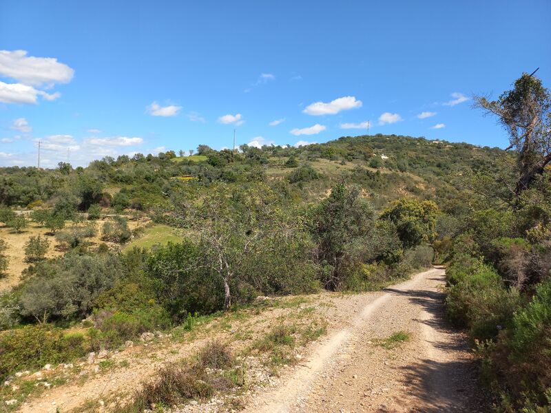 Land Rustic with 12480sqm Estói Faro - electricity, water
