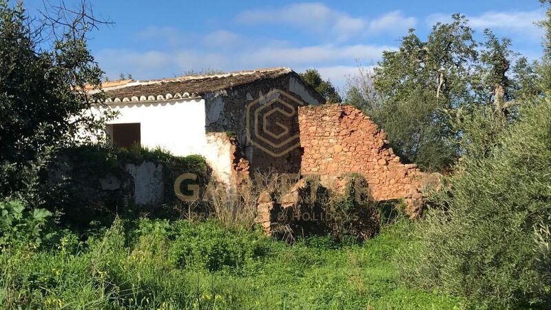 жилой дом V1 старинная в руинах Santa Catarina Santa Catarina da Fonte do Bispo Tavira - камин, сады