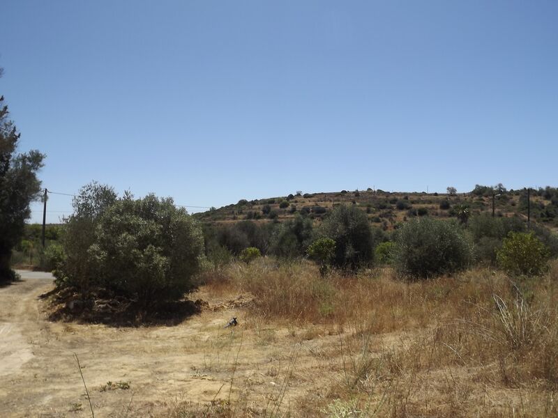 Land Rustic with 7600sqm Alcantarilha Silves - water, arable crop, electricity, mains water, beautiful views