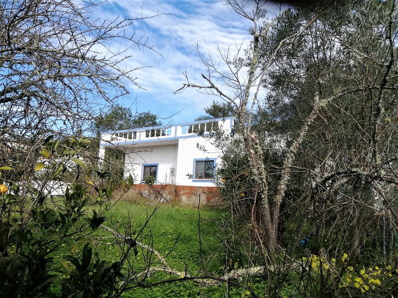 House 4 bedrooms Isolated Querença Alte Loulé - backyard