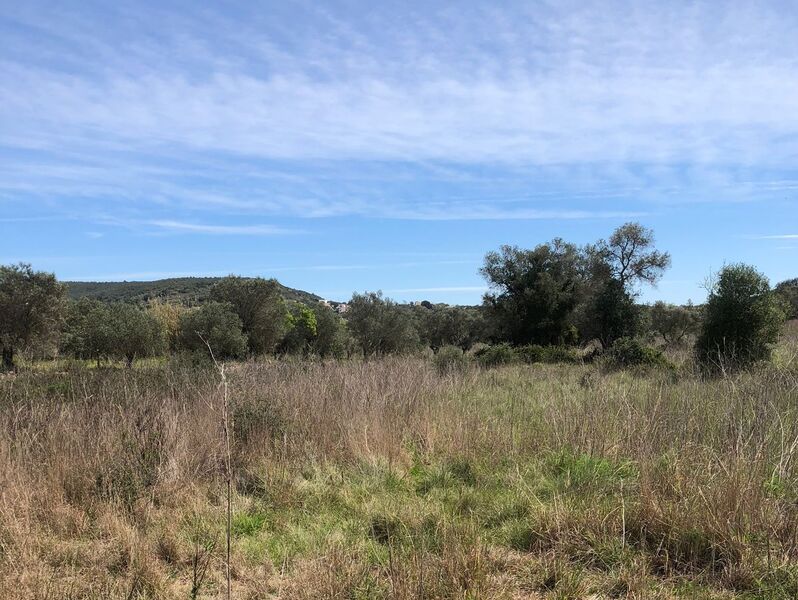 Land Rustic with 1210sqm Alte Loulé - water, well