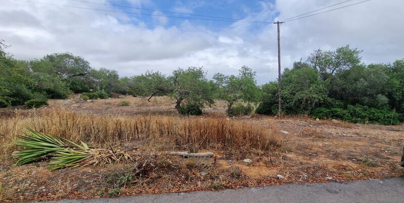 Lote de terreno Rústico com 20060m2 Guia Albufeira - vista mar, água