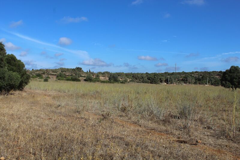 Land with 99200sqm Lagos São Gonçalo de Lagos - ,