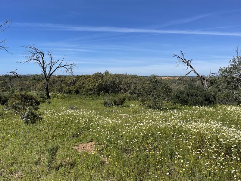 Land with 2160sqm Cotovio Paderne Albufeira