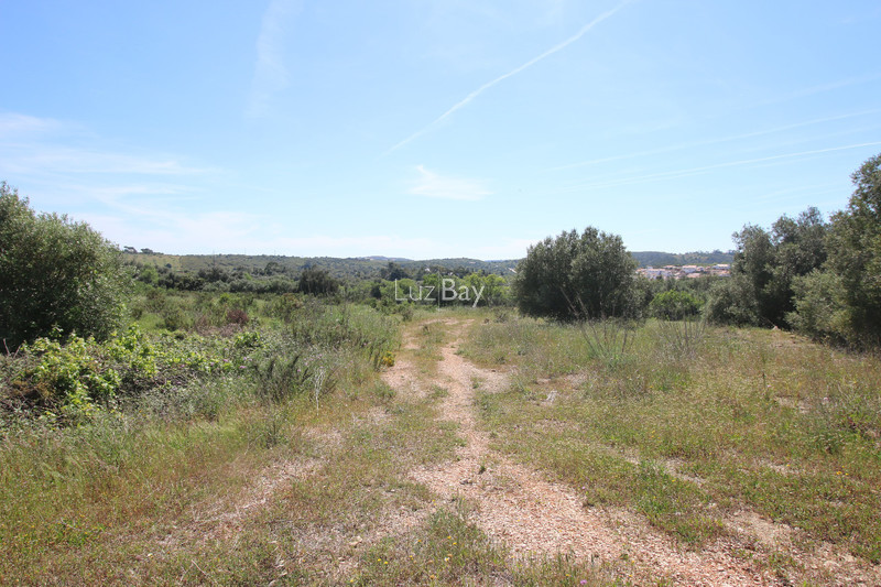 Terreno com 2500m2 Barão de São Miguel Vila do Bispo - viabilidade de construção, oliveiras, árvores de fruto