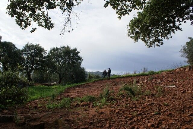 Terreno com 5560m2 Messines São Bartolomeu de Messines Silves - viabilidade de construção