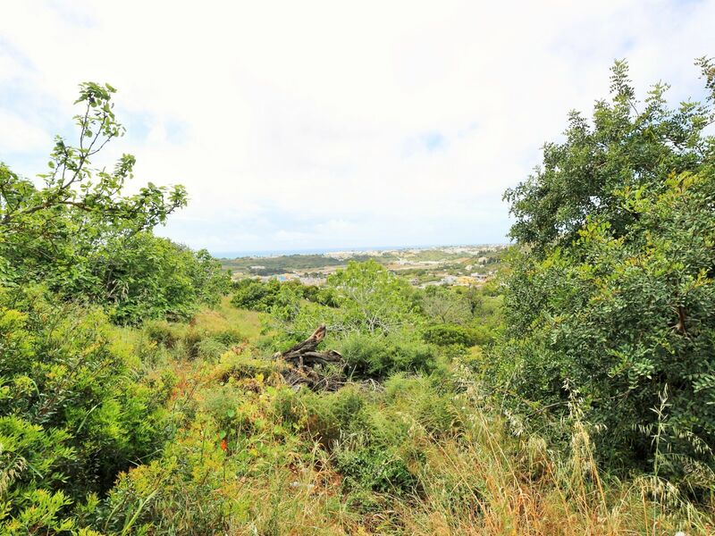 Terreno com 3753m2 Cerro da Piedade Olhos de Água Albufeira - viabilidade de construção