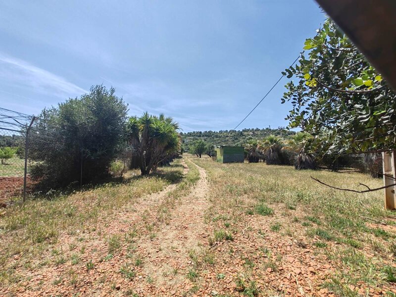 Land Rustic with 16000sqm Paderne Albufeira - electricity, water