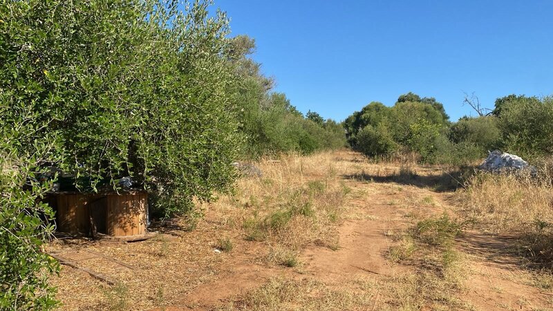 Land Rustic with 3320sqm Albufeira - easy access