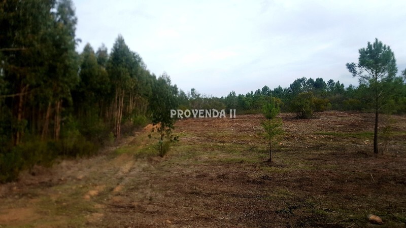 Terreno Agrícola com 61000m2 Aljezur - água da rede