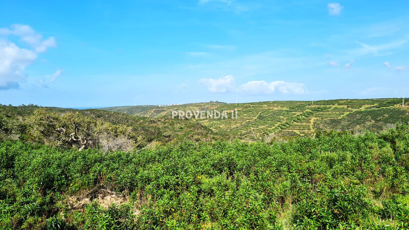 Chácara/Sítio/Fazenda V1 Arrifana - Monte Branco Aljezur - sobreiros