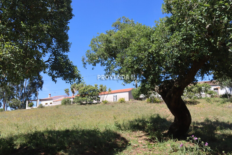 House Old to recover 2 bedrooms Aldeia Nova Aljezur