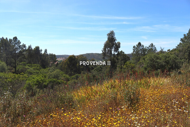 1000019480_paisagem_4.jpg
