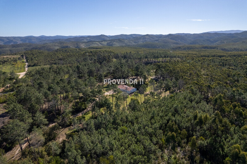 1000020043_dji_0482-69e8971ebfb78.jpg