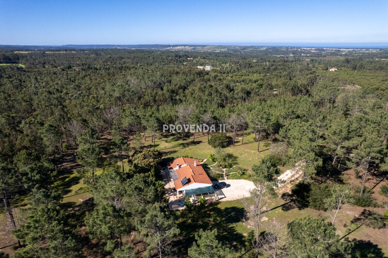 1000020043_dji_0490-69e8972363fa2.jpg