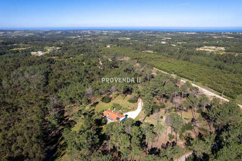 1000020043_dji_0491-69e89724649a9.jpg
