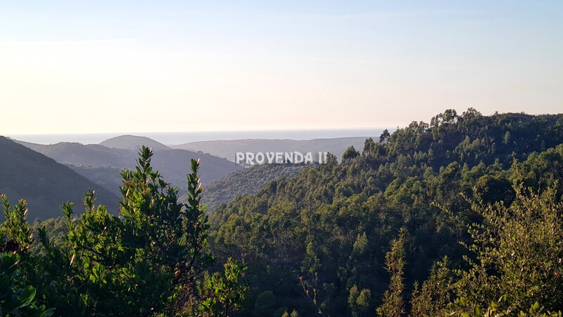 11. 75 hectares of land with three buildings for reconstruction and a borehole