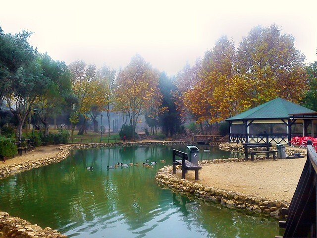 Parque juventude