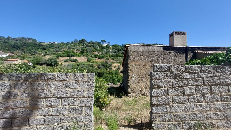 Venda Quinta V3 bem localizada Caldas de Monchique - tanque, árvores de fruto, água