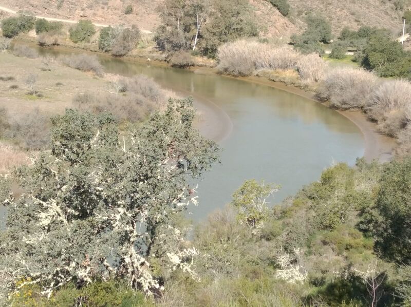 Land with 9240sqm Foz de Odeleite Castro Marim - orange trees, water hole, electricity, water hole, water