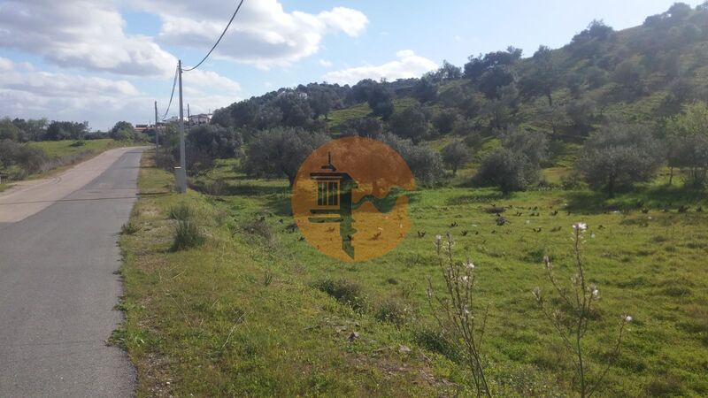 Terreno Rústico com 3920m2 Alcoutim - bons acessos, árvores de fruto, furo, electricidade