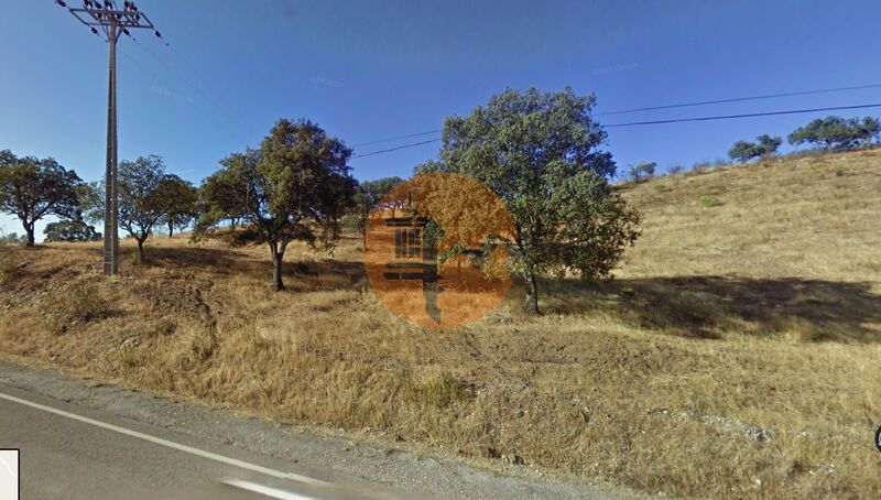 Terreno Rústico com 6480m2 Quebradas Odeleite Castro Marim - árvores de fruto