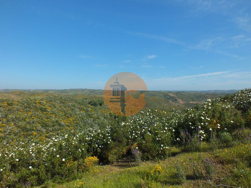 Terreno Rústico com 13920m2 Vila Nova de Cacela Vila Real de Santo António