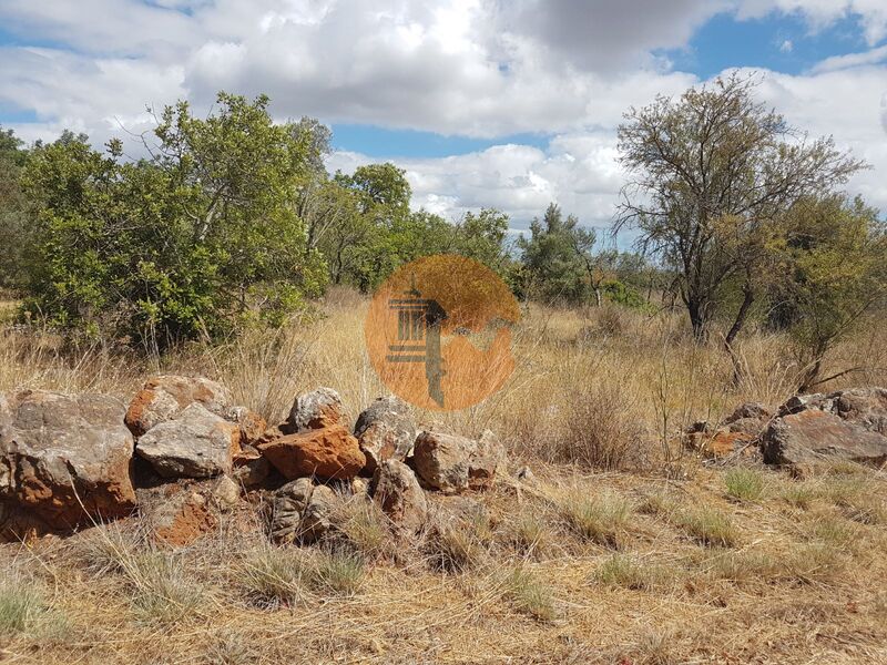 Terreno Rústico com 2957m2 Alte Loulé - electricidade, água da rede