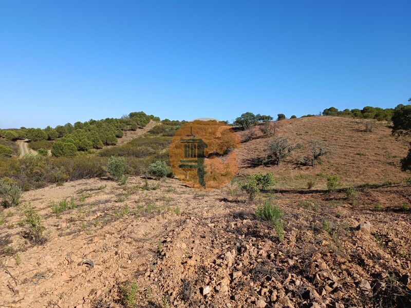 Land Rustic with 5560sqm Alcarias Grandes Azinhal Castro Marim - olive trees, easy access