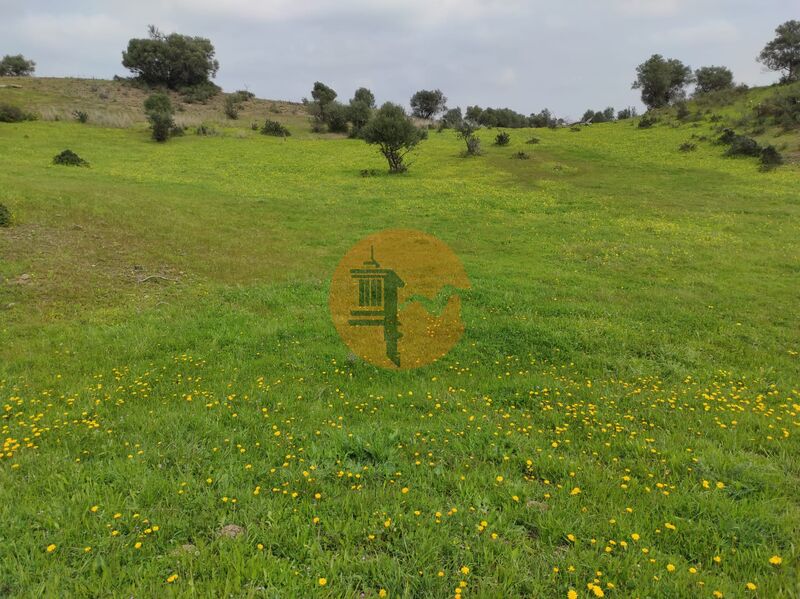 Land Rustic with 16320sqm Beliche Castro Marim - electricity, easy access