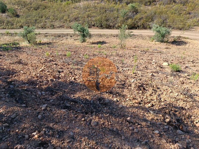 Land new with 4960sqm Alcarias Grandes Azinhal Castro Marim - easy access