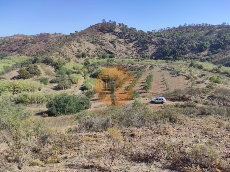 Terreno Rústico com 5550m2 Tavira - água