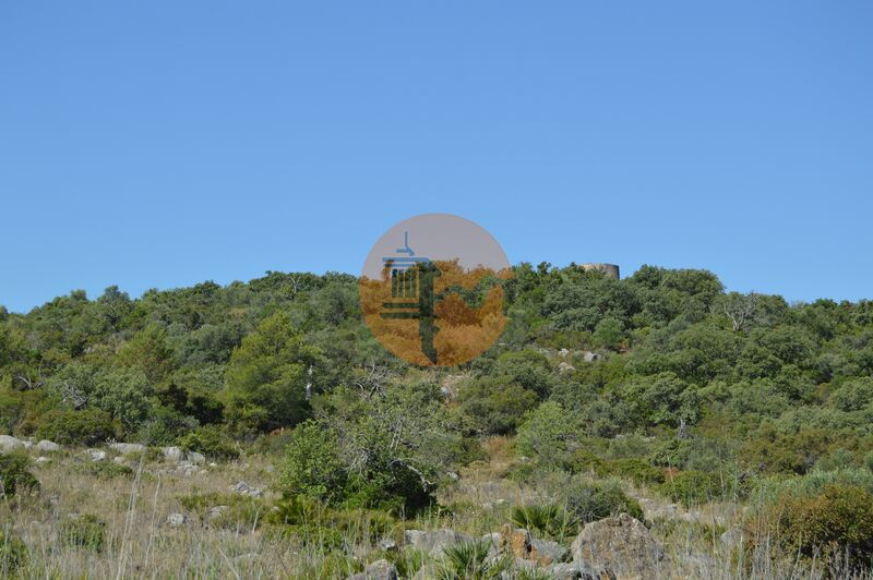 Terreno Agrícola com 93960m2 Foupana Olhão