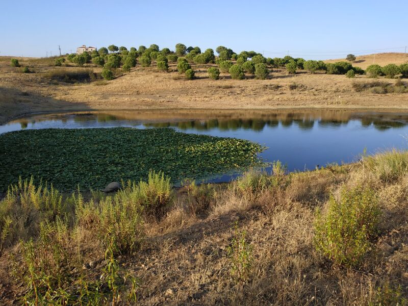 Land nieuw with 53520sqm Campeiros Castro Marim - great location, easy access, water, electricity