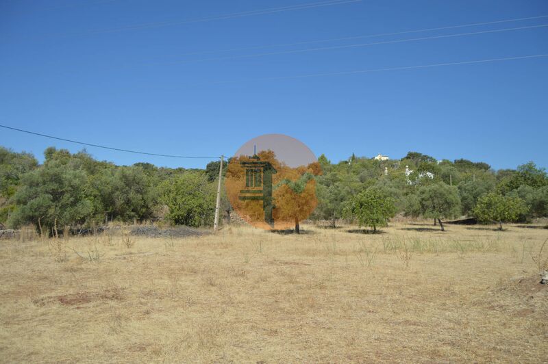 Terreno Agrícola com 70040m2 Santa Catarina da Fonte do Bispo Tavira - sobreiros