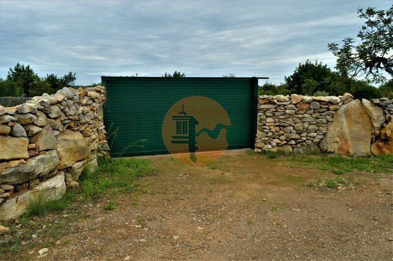 Terreno Agrícola com 14020m2 Santa Catarina da Fonte do Bispo Tavira - árvores de fruto, furo, sobreiros, oliveiras