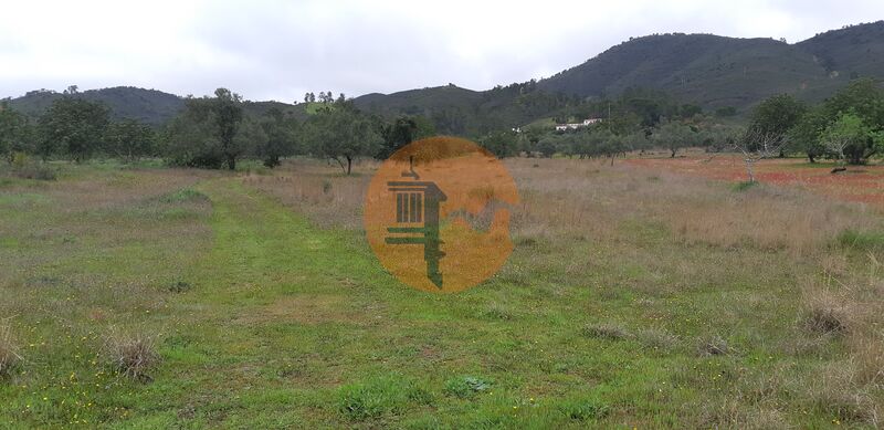 Land Agricultural with 6200sqm Pé da Serra Salir Loulé - water, electricity, olive trees