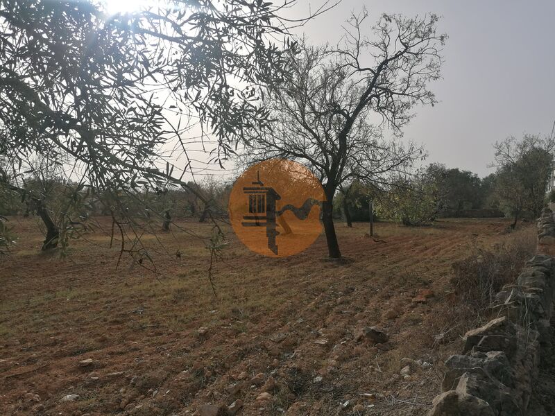 Land with 8250sqm Faro - , ,