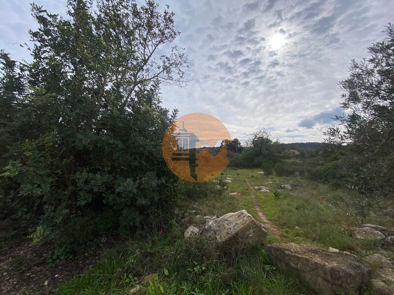 Terreno com 7480m2 Murta Faro - água, electricidade