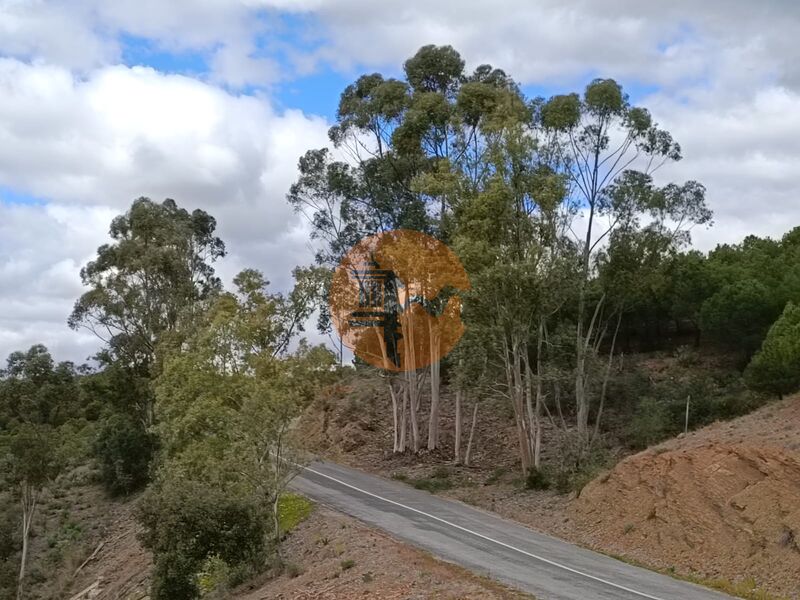 Para venda Terreno Agrícola com 156800m2 Azinhal Castro Marim - bom acesso, excelente vista, água, bons acessos