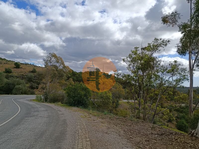 Terreno Agrícola com 156800m2 Azinhal Castro Marim - bom acesso, excelente vista, água, bons acessos