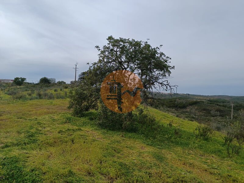 Terreno novo com 34500m2 Sentinela Azinhal Castro Marim - electricidade, água, bons acessos